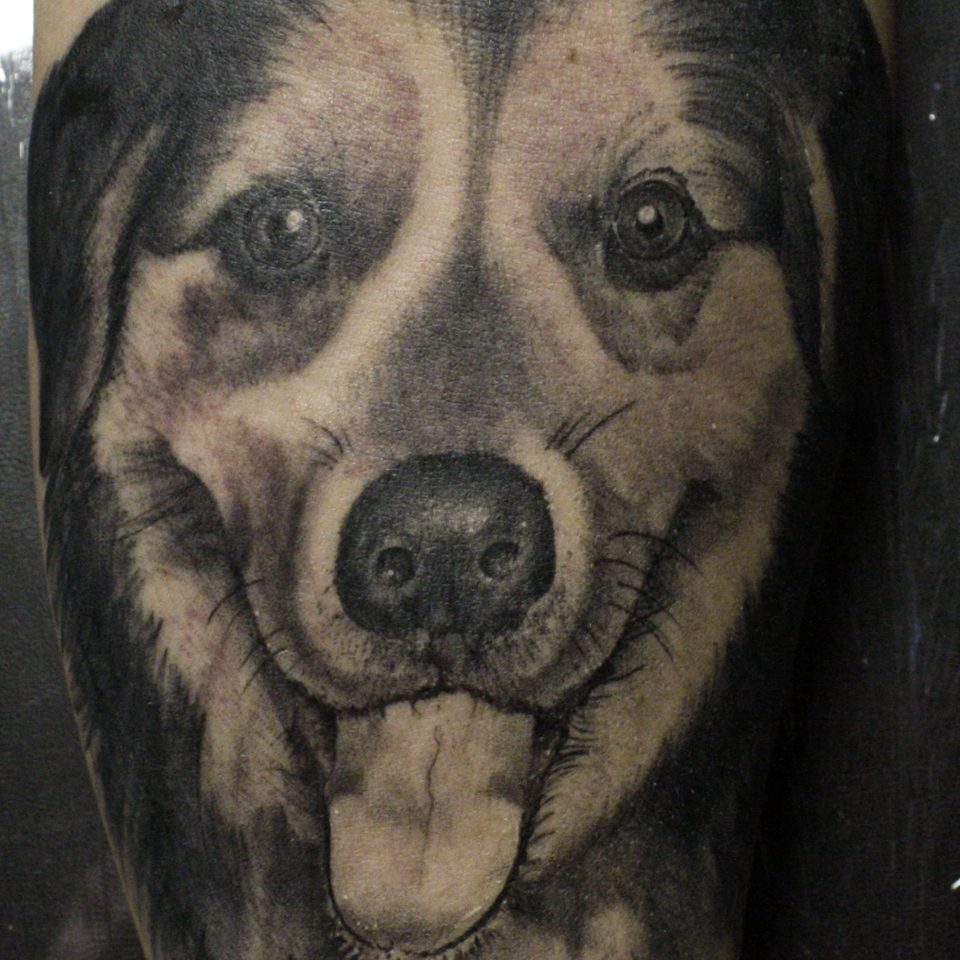 Tattoo perro realismo en blanco y negro